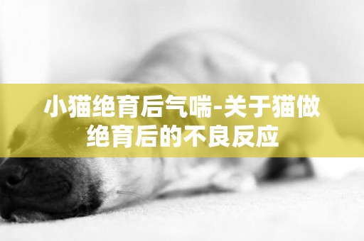 小貓絕育后氣喘-關于貓做絕育后的不良反應