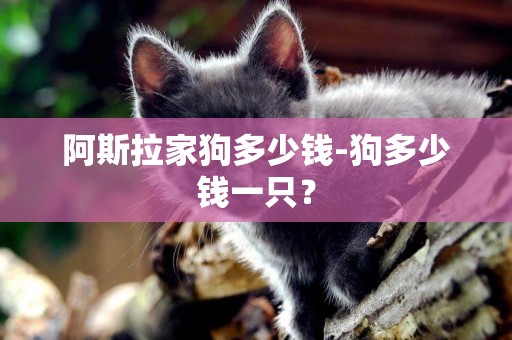 阿斯拉家狗多少錢-狗多少錢一只？