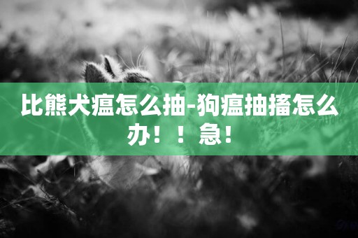 比熊犬瘟怎么抽-狗瘟抽搐怎么辦！！急！