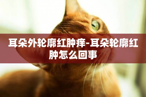 耳朵外輪廓紅腫癢-耳朵輪廓紅腫怎么回事