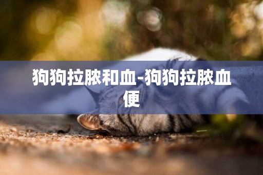 狗狗拉膿和血-狗狗拉膿血便