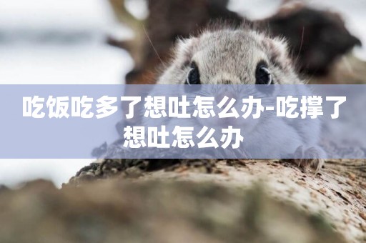 吃飯吃多了想吐怎么辦-吃撐了想吐怎么辦