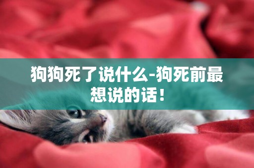 狗狗死了說什么-狗死前最想說的話！