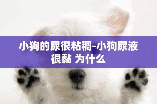 小狗的尿很粘稠-小狗尿液很黏 為什么