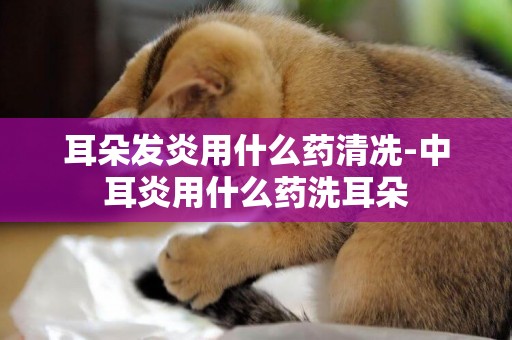 耳朵發炎用什么藥清冼-中耳炎用什么藥洗耳朵