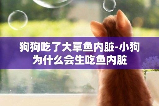 狗狗吃了大草魚內臟-小狗為什么會生吃魚內臟