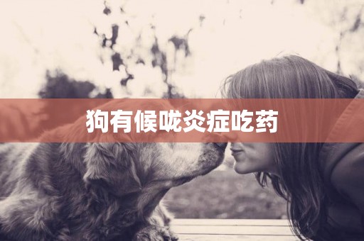 狗有候嚨炎癥吃藥