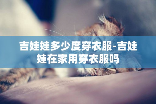 吉娃娃多少度穿衣服-吉娃娃在家用穿衣服嗎