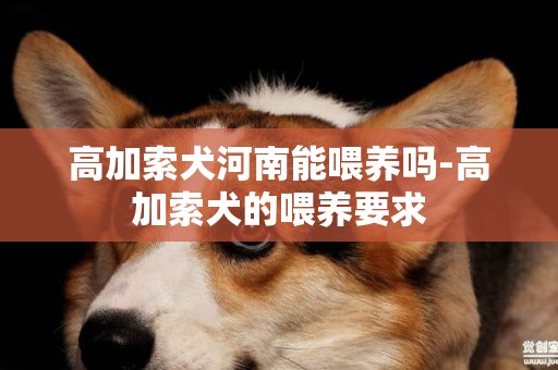 高加索犬河南能喂養嗎-高加索犬的喂養要求