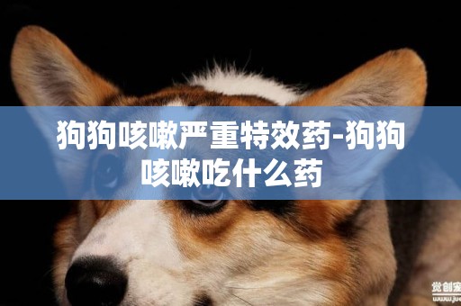狗狗咳嗽嚴重特效藥-狗狗咳嗽吃什么藥