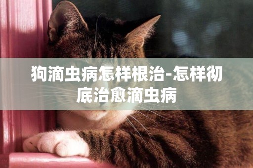 狗滴蟲病怎樣根治-怎樣徹底治愈滴蟲病
