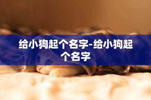 給小狗起個名字-給小狗起個名字