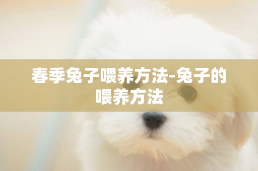 春季兔子喂養方法-兔子的喂養方法