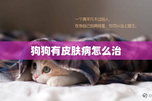 狗狗有皮膚病怎么治