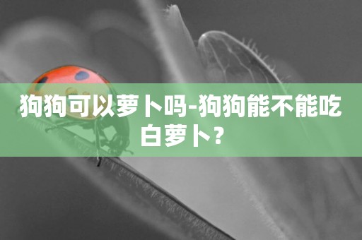 狗狗可以蘿卜嗎-狗狗能不能吃白蘿卜？