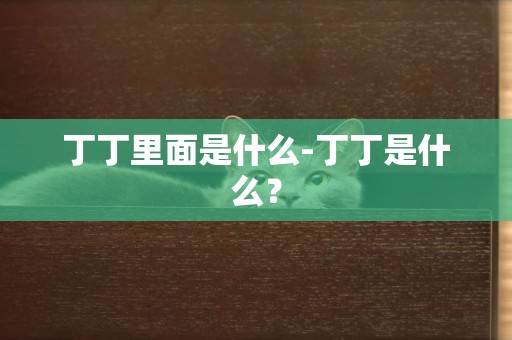 丁丁里面是什么-丁丁是什么？