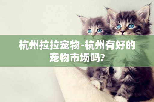 杭州拉拉寵物-杭州有好的寵物市場嗎?