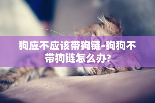 狗應不應該帶狗鏈-狗狗不帶狗鏈怎么辦?