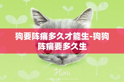 狗要陣痛多久才能生-狗狗陣痛要多久生
