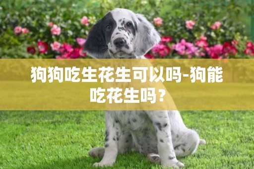 狗狗吃生花生可以嗎-狗能吃花生嗎？