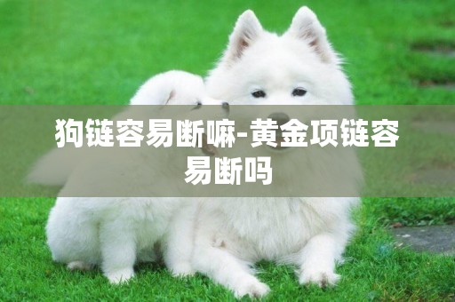 狗鏈容易斷嘛-黃金項鏈容易斷嗎