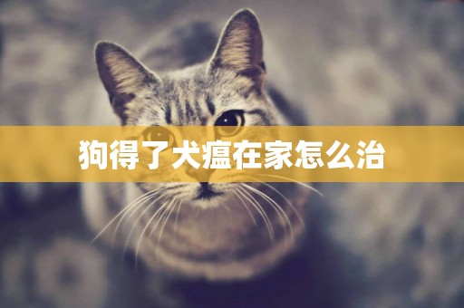 狗得了犬瘟在家怎么治