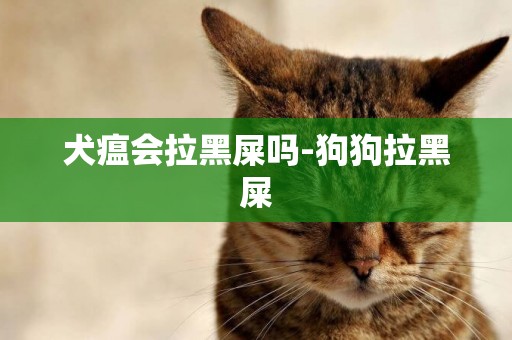 犬瘟會拉黑屎嗎-狗狗拉黑屎