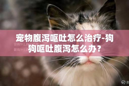 寵物腹瀉嘔吐怎么治療-狗狗嘔吐腹瀉怎么辦？