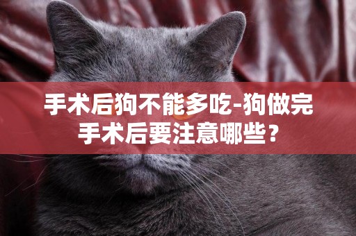 手術后狗不能多吃-狗做完手術后要注意哪些？