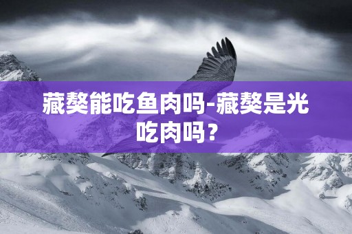 藏獒能吃魚肉嗎-藏獒是光吃肉嗎？