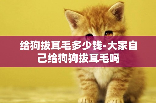 給狗拔耳毛多少錢-大家自己給狗狗拔耳毛嗎