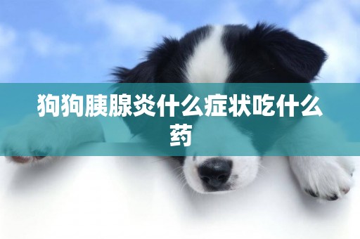 狗狗胰腺炎什么癥狀吃什么藥