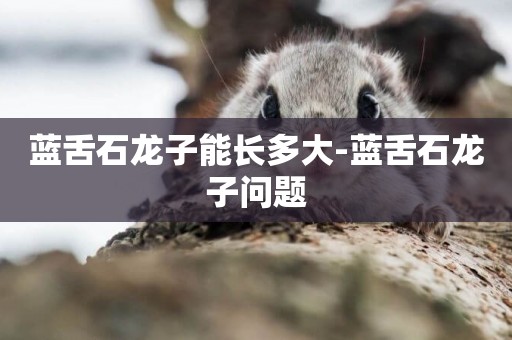 藍舌石龍子能長多大-藍舌石龍子問題