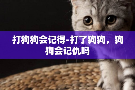 打狗狗會記得-打了狗狗，狗狗會記仇嗎