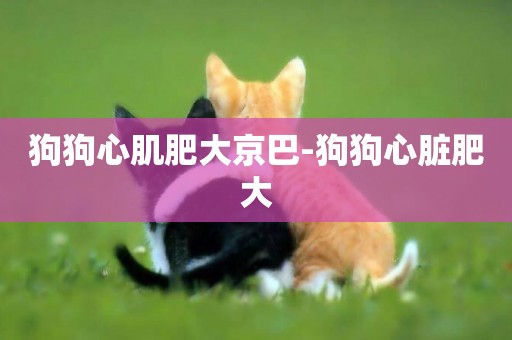 狗狗心肌肥大京巴-狗狗心臟肥大