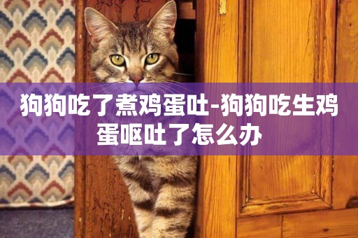 狗狗吃了煮雞蛋吐-狗狗吃生雞蛋嘔吐了怎么辦
