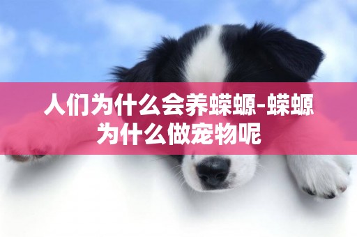 人們為什么會養蠑螈-蠑螈為什么做寵物呢