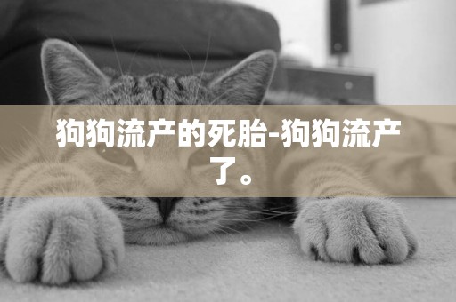 狗狗流產的死胎-狗狗流產了。