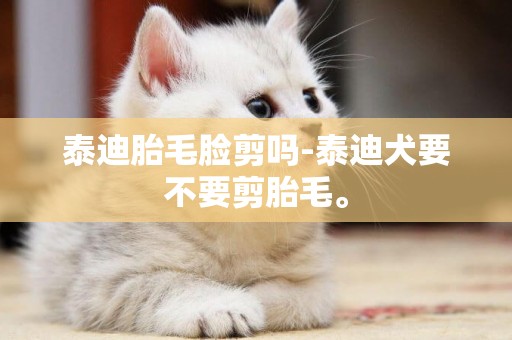 泰迪胎毛臉剪嗎-泰迪犬要不要剪胎毛。