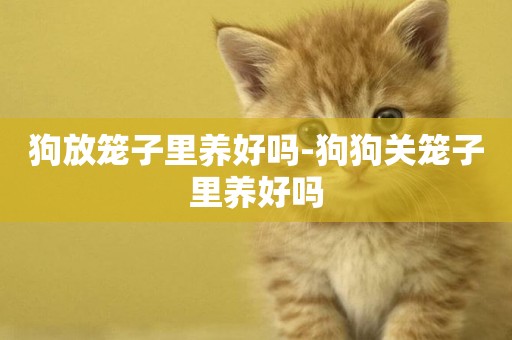 狗放籠子里養好嗎-狗狗關籠子里養好嗎
