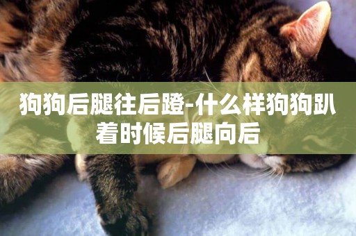 狗狗后腿往后蹬-什么樣狗狗趴著時候后腿向后