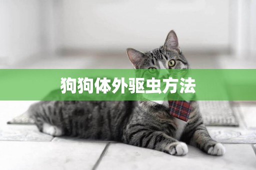 狗狗體外驅蟲方法