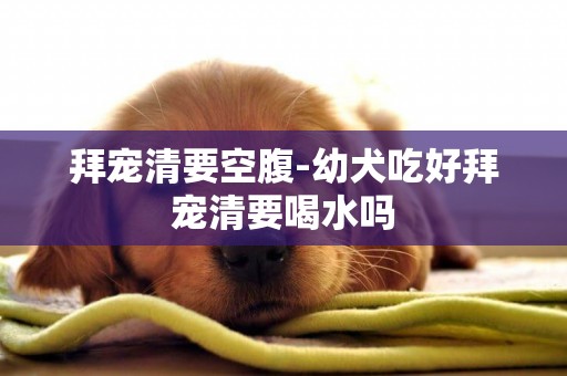 拜寵清要空腹-幼犬吃好拜寵清要喝水嗎