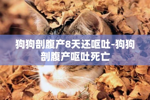 狗狗剖腹產8天還嘔吐-狗狗剖腹產嘔吐死亡