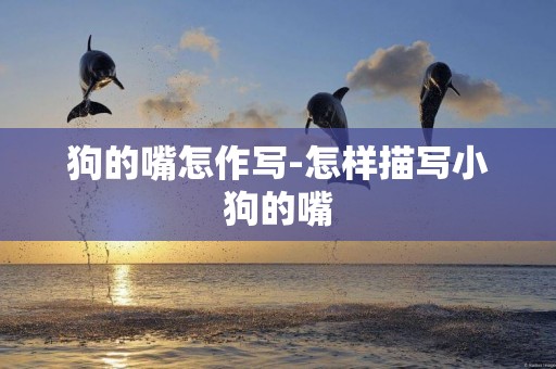 狗的嘴怎作寫-怎樣描寫小狗的嘴