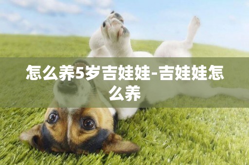怎么養5歲吉娃娃-吉娃娃怎么養