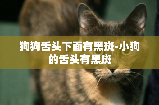 狗狗舌頭下面有黑斑-小狗的舌頭有黑斑
