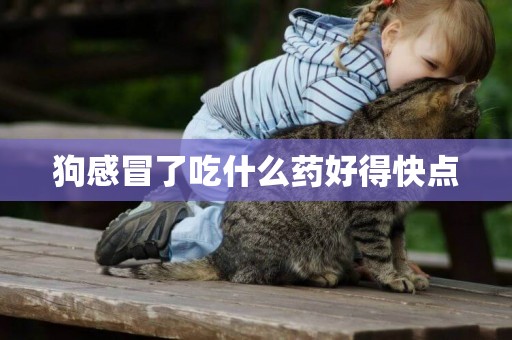 狗感冒了吃什么藥好得快點