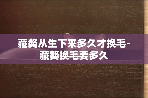 藏獒從生下來多久才換毛-藏獒換毛要多久