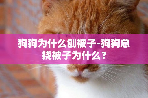 狗狗為什么刨被子-狗狗總撓被子為什么？